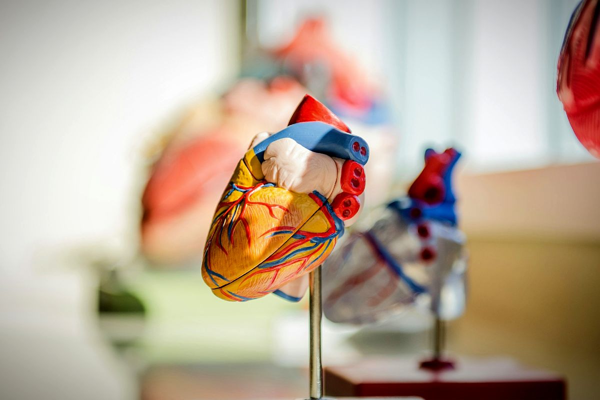 Hipertensión arterial y disfunción eréctil